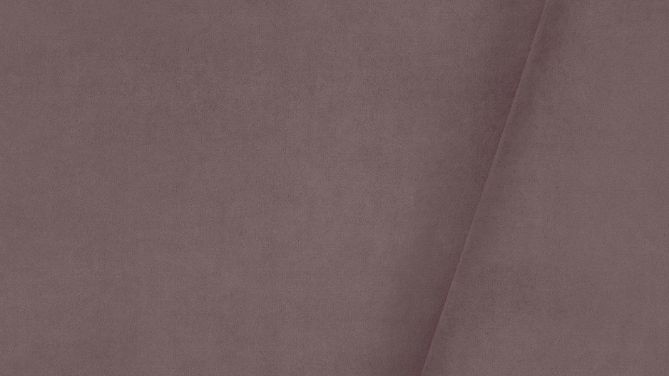Casanova Lilac