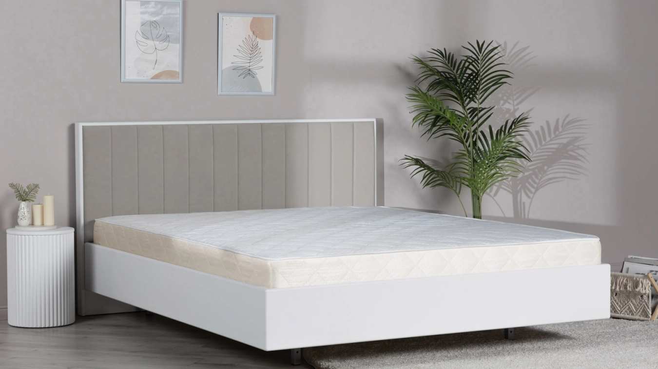 Comfort Plus - 6 - большое изображение