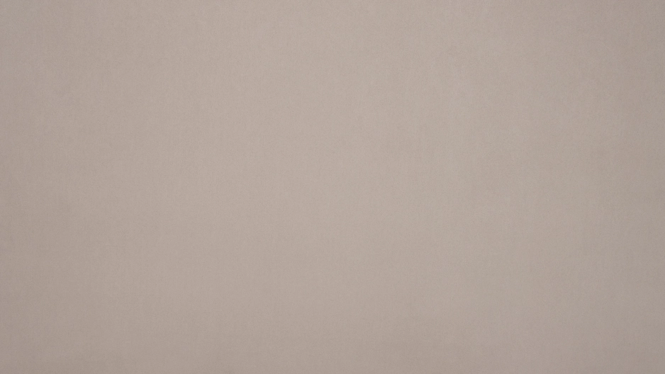 Shammy Foggy