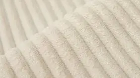 Cilium Bone