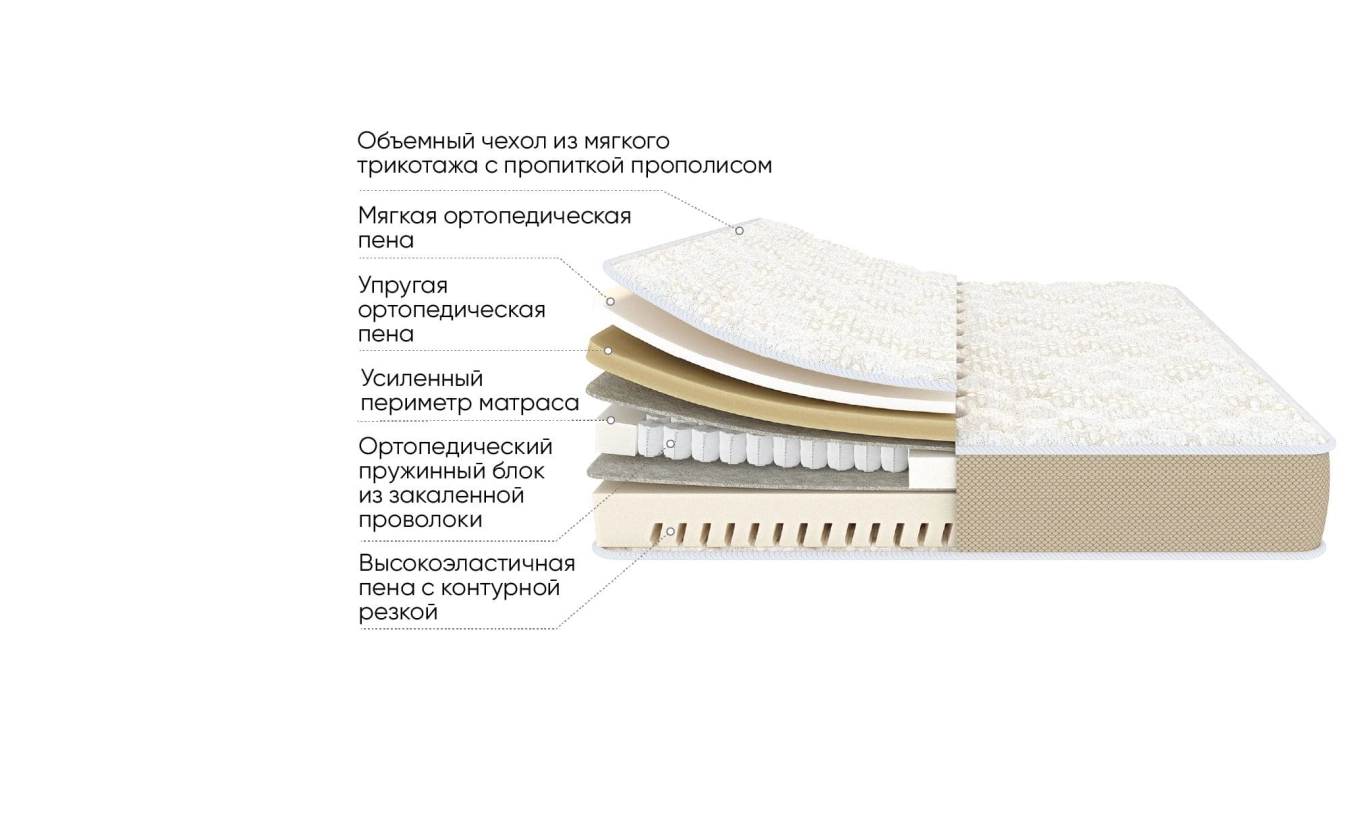 Ortho Transform - 7 - большое изображение